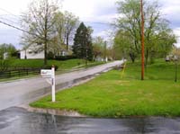 mitten im Gr&uuml;nen