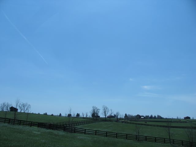 ullaegino_8kentucky.jpg (large)