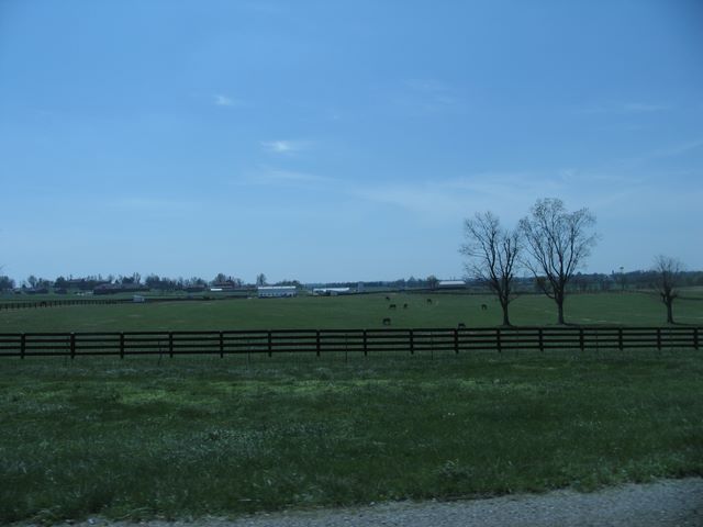 ullaegino_9kentucky.jpg (large)