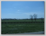 ullaegino_9kentucky.jpg