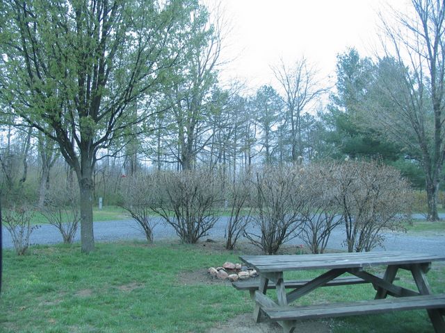 Campground im Wald