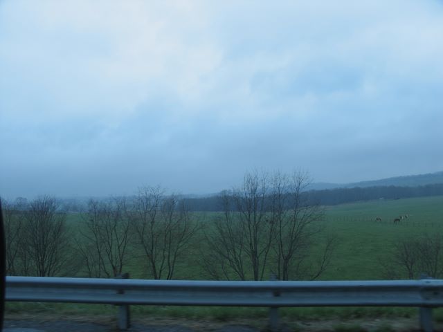 07_north_carolina.jpg (large)