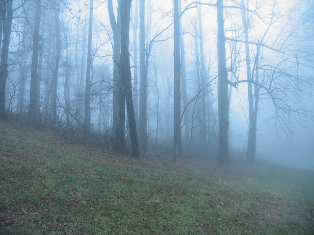 09_blue_ridge_parkway.jpg (large)