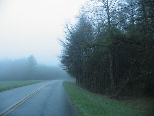 11_blue_ridge_parkway.jpg (large)