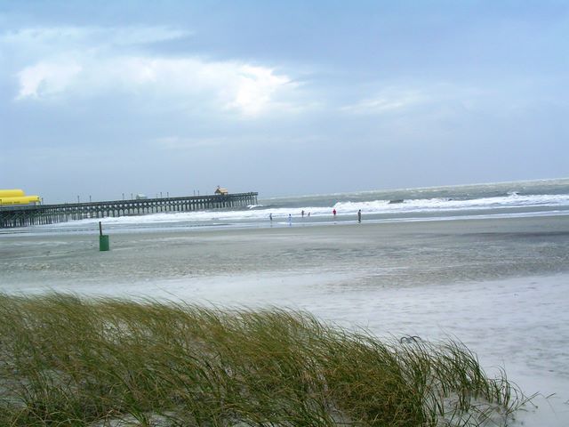 ullaegino_in_myrtlebeach05.jpg (large)