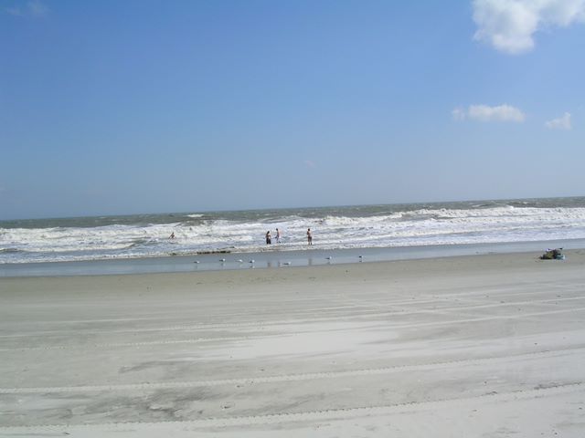 ullaegino_in_myrtlebeach09.jpg (large)