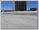 ullaegino_myrtlebeach01.jpg