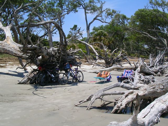 img2007_04_24_0003.jpg (large)