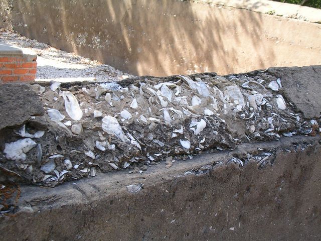 img2007_04_24_0067.jpg (large)