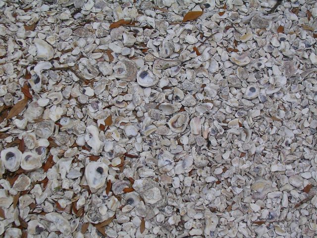 img2007_04_24_0068.jpg (large)