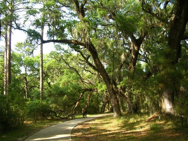 img2007_04_24_0080.jpg (large)