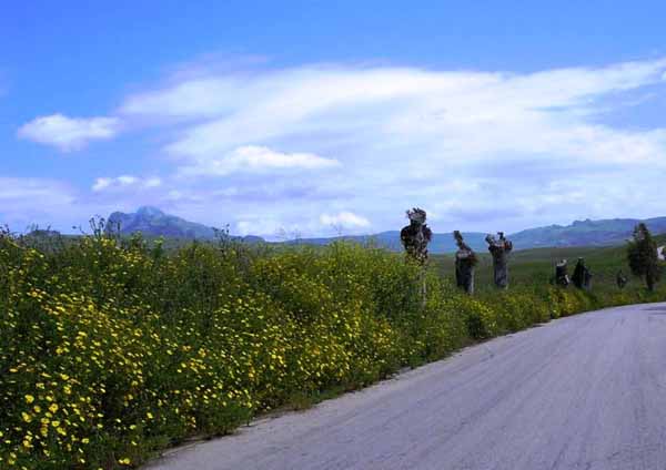 unterwegs in Sizilien
