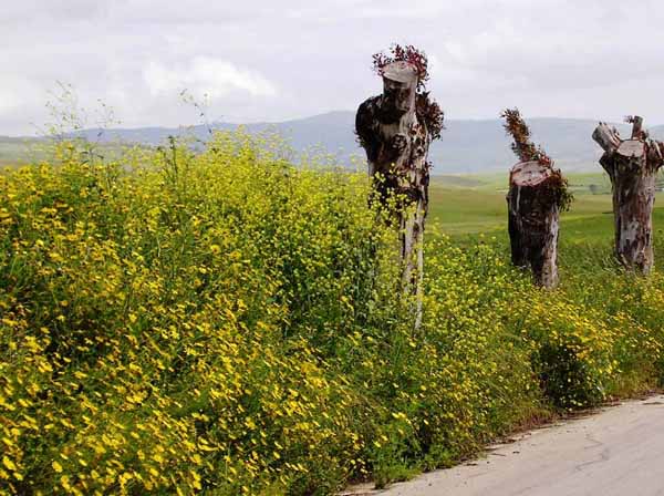 unterwegs in Sizilien