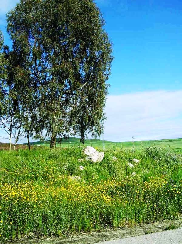 unterwegs in Sizilien