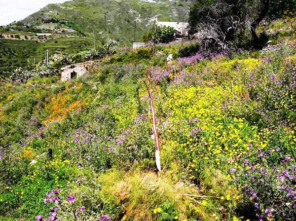 unterwegs in Sizilien