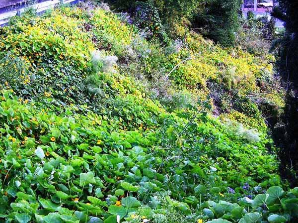 unterwegs in Sizilien