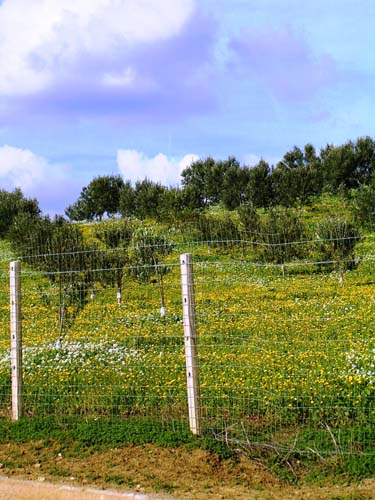 sizilien_im_november_03