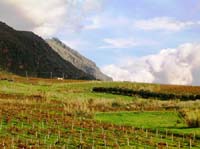 sizilien_im_november_04