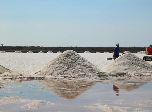 salinen_trapani_200509282