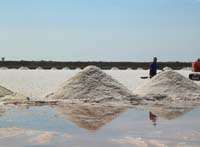 salinen_trapani_200509282