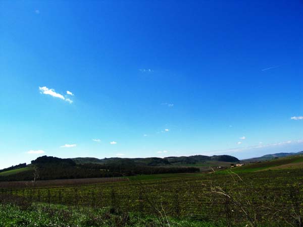 20060308_13