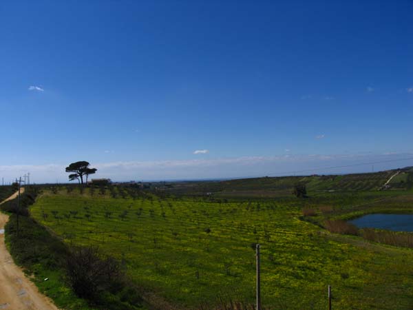20060308_15