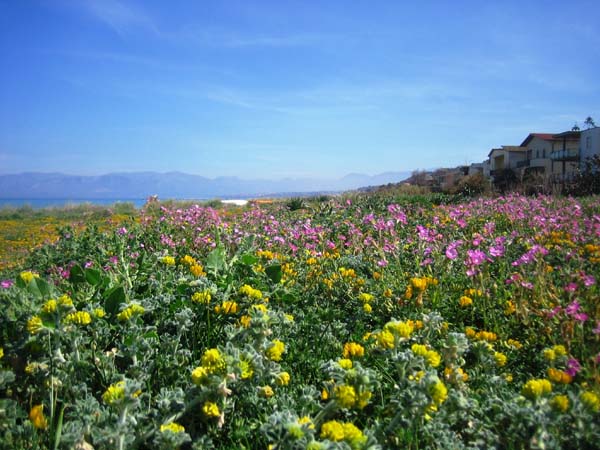 sizilien_06