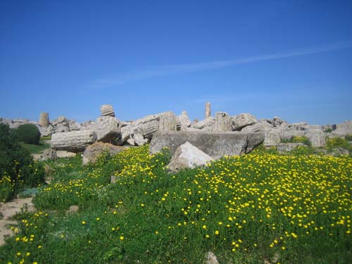 20060329_4