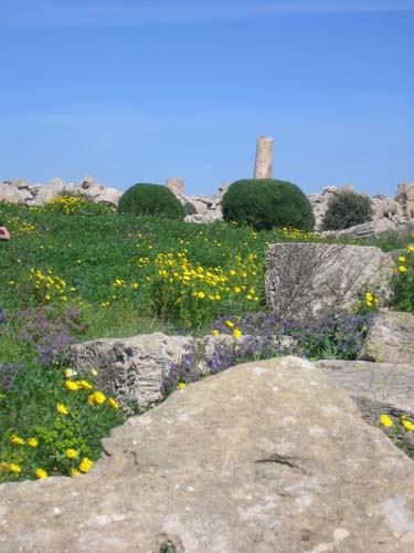 20060329_8