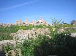20060329_2