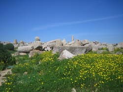 20060329_4