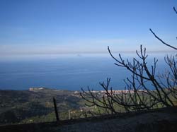 20060331_2