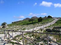 segesta1