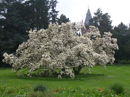 weinheim_hermannshof_22
