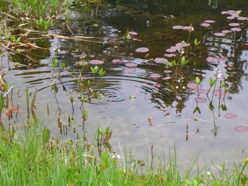 weinheim_hermannshof_24