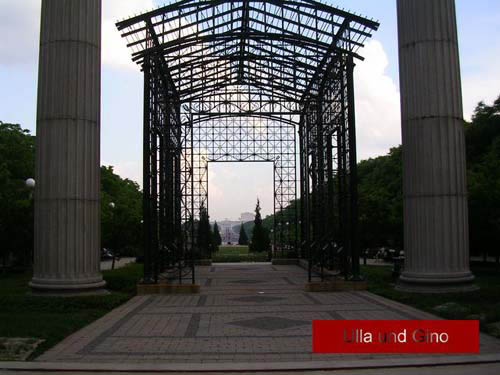 chicago.jpg (large)