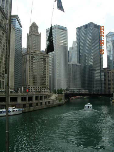 chicago__15_.jpg (large)