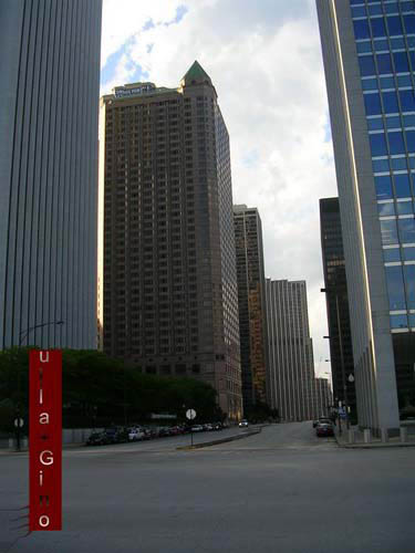 chicago__1_.jpg (large)