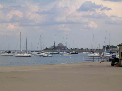 chicago__21_.jpg (large)