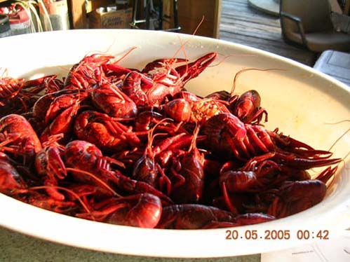 natchez_mississippi.jpg (large)