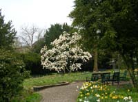 weinheim_hermannshof