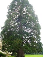 weinheim_hermannshof_04