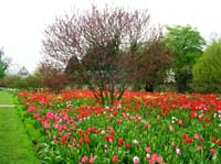 weinheim_hermannshof_07