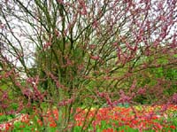 weinheim_hermannshof_08