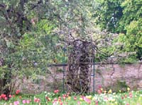 weinheim_hermannshof_09