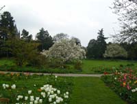 weinheim_hermannshof_14
