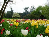 weinheim_hermannshof_16