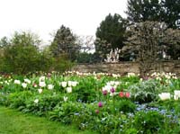 weinheim_hermannshof_17