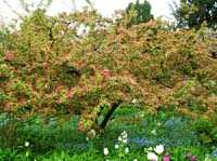 weinheim_hermannshof_18