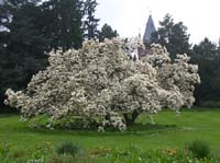 weinheim_hermannshof_22